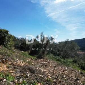 LABIN, SVETA MARINA- stara kuća s građevinskim zemljištem 935m2, pogledom na more i 2 idejna projekta
