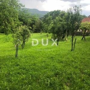 LIKA, DUBRAVE - starina s većom okućnicom