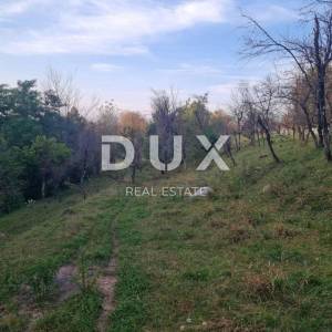 LIKA, DUBRAVE - starina s većom okućnicom