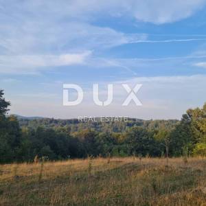 LIKA, DUBRAVE - starina s većom okućnicom