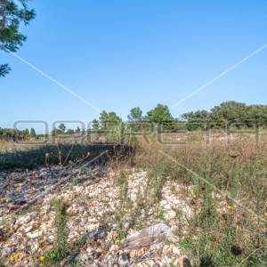 Ližnjan, Ližnjan, 1.543,00 m2, 308.600,00 EUR