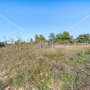 Ližnjan, Ližnjan, 1.543,00 m2, 308.600,00 EUR