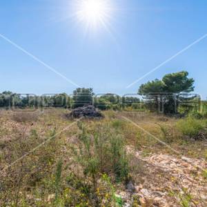Ližnjan, Ližnjan, 769,00 m2, 153.800,00 EUR