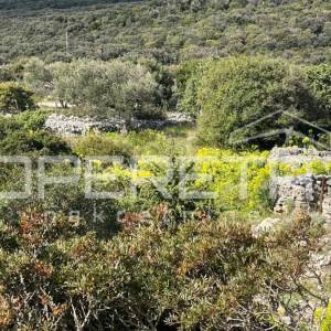 Lošinj, Ćunski - Građevinsko zemljište s pogledom na more, 630 m²