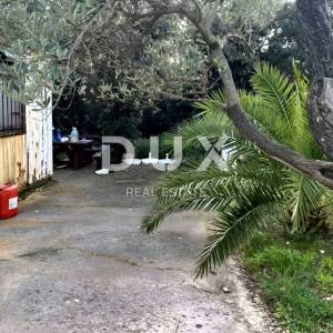LOŠINJ, MALI LOŠINJ - Maslinik 400 metara od mora