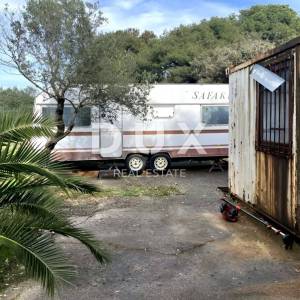 LOŠINJ, MALI LOŠINJ - Maslinik 400 metara od mora