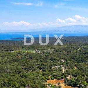 LOŠINJ, MALI LOŠINJ - Maslinik 400 metara od mora