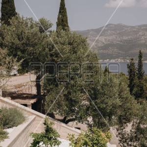 Luksuzna Vila na Korčuli: Oaza Mediteranskog Života s Pogledom na More