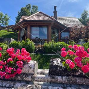 Luksuzna vila s bazenom, wellnesom i sjenicom u srcu Gorskog Kotara