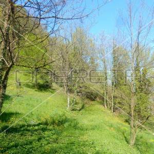 Maje Strozzi, Samobor-Centar, 3.544,00 m2, 1.063.200,00 EUR