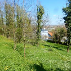 Maje Strozzi, Samobor-Centar, 3.544,00 m2, 1.063.200,00 EUR