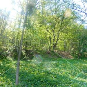 Maje Strozzi, Samobor-Centar, 3.544,00 m2, 1.063.200,00 EUR