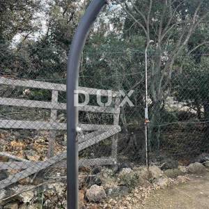 MALI LOŠINJ - Maslinik sa 210 maslina te vodom i strujom 200m od mora