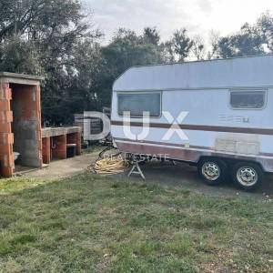MALI LOŠINJ - Maslinik sa 210 maslina te vodom i strujom 200m od mora