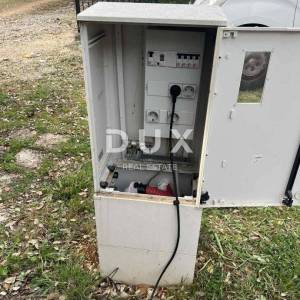 MALI LOŠINJ - Maslinik sa 210 maslina te vodom i strujom 200m od mora