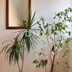 MALI LOŠINJ, OKOLICA - Apartmanska kuća u mirnom dijelu otoka