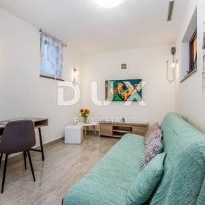 MALINSKA, OTOK KRK - Jednosobni apartman s okućnicom