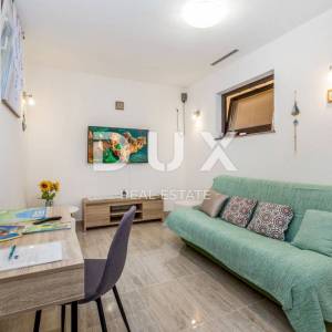 MALINSKA, OTOK KRK - Jednosobni apartman s okućnicom