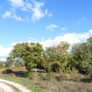 MARČANA - RAKALJ - građevinski teren 5205m2 sa pogledom na more za obiteljsku kuću / villu / apartmane / kuću za iznajmljivanje...