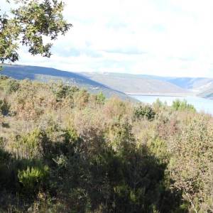 MARČANA - RAKALJ - građevinski teren 5205m2 sa pogledom na more za obiteljsku kuću / villu / apartmane / kuću za iznajmljivanje...