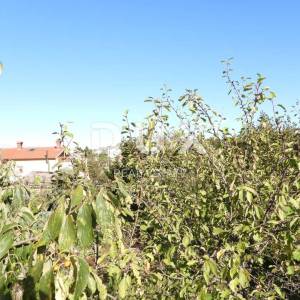 MARINIĆI - CENTAR - građ. teren 1750m2 za stambenu zgradu – stanove / poslovno- stambenu zgradu