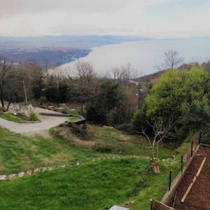 MATULJI, BREGI - Građevinsko zemljište 1147m2 sa pogledom na more