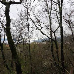 MATULJI – građevinsko zemljište površine 2838m2 za obiteljsku kuću / stambenu zgradu – stanove
