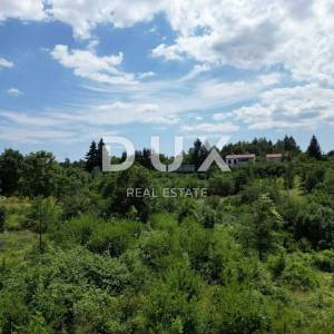 MATULJI, JURDANI, RUPA- građevinsko zemljište 6750m2 s GRAĐ. DOZVOLOM za halu i poslovno stambenu zgradu