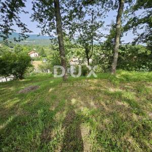 MATULJI, JUŠIĆI, JURDANI- kuća 340m2 s poslovnim prostorom + uređena okućnica 1400m2