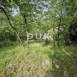 MATULJI, JUŠIĆI, JURDANI- kuća 340m2 s poslovnim prostorom + uređena okućnica 1400m2