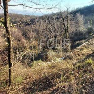 Matulji, kuća i 2 pomoćna objekta na zemljištu od 12.293m2