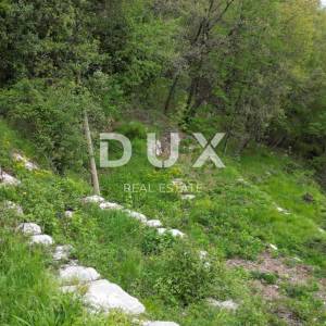 MATULJI, KUĆELI- zemljište 12 000 m2 (cca 6700m2 građevinsko) s pogledom na more + 3 starine 220m2
