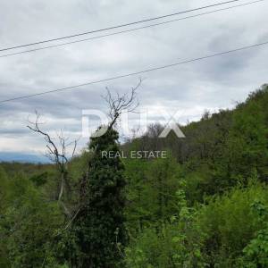 MATULJI, KUĆELI- zemljište 12 000 m2 (cca 6700m2 građevinsko) s pogledom na more + 3 starine 220m2