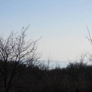 MATULJI - MIHELIĆI - asfaltirani teren 834m2 do frekventne glavne prometnice 