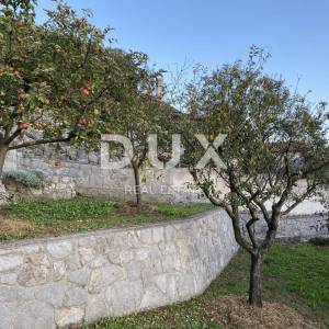 MATULJI, OKOLICA -  Kuća s bazenom za turistički najam
