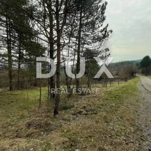 MATULJI, PASJAK - Poljoprivredno zemljište 2.881m2