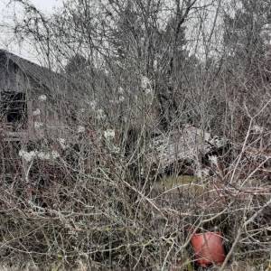 MATULJI, PASJAK - Poljoprivredno zemljište 2.881m2