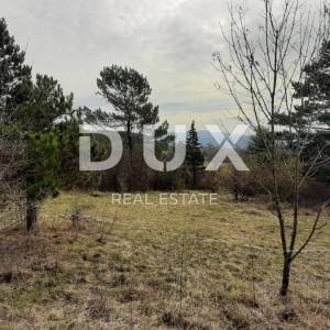 MATULJI, PASJAK - Poljoprivredno zemljište 2.881m2