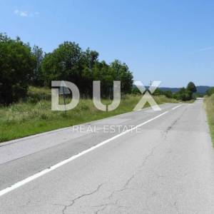 MATULJI, RUPA, LIPA- građevinsko zemljište 5021m2 za halu