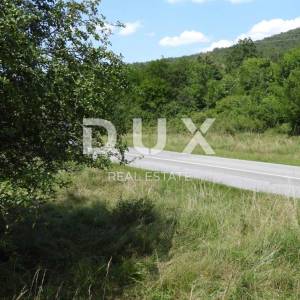 MATULJI, RUPA, LIPA- građevinsko zemljište 5021m2 za halu