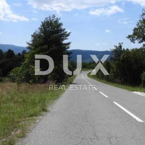 MATULJI, RUPA, LIPA- građevinsko zemljište 5021m2 za halu