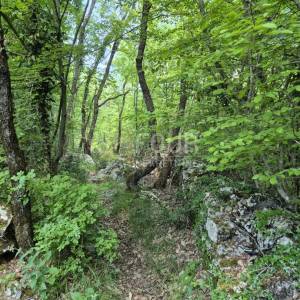Matulji, zemljište 10.471m2