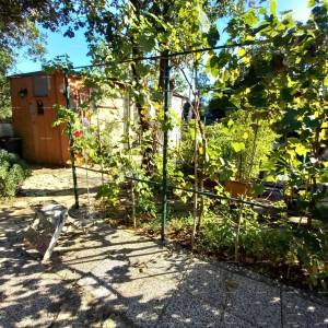MEDULIN – AUTENTIČNA ISTARSKA KUĆA (KAŽUN) SA VRTOM, 600 M OD MORA