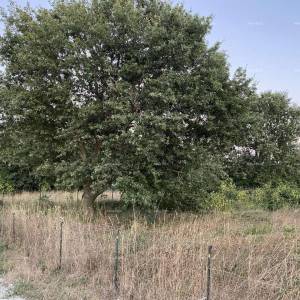 MEDULIN - Prodaje se građevinska parcela, 634 m2
