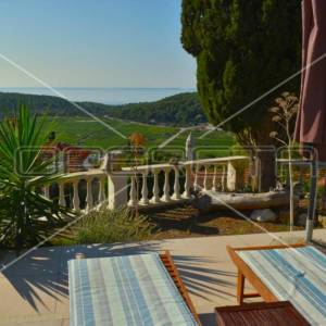 Moderna vila na Korčuli – 6 spavaćih soba, 3 kuhinje i privatni bazen