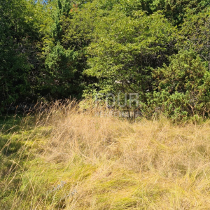 Mošćenička Draga - okolica, zemljište u građevinskoj zoni, 525m2