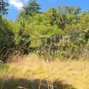 Mošćenička Draga - okolica, zemljište u građevinskoj zoni, 525m2