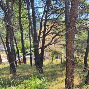 Mundanije, Rab, 791,00 m2, 73.000,00 EUR