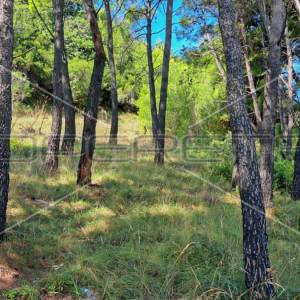 Mundanije, Rab, 791,00 m2, 73.000,00 EUR