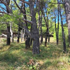 Mundanije, Rab, 791,00 m2, 73.000,00 EUR